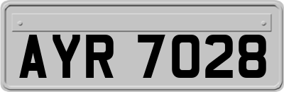 AYR7028