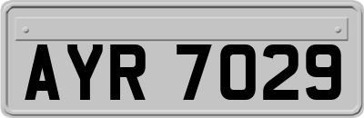 AYR7029