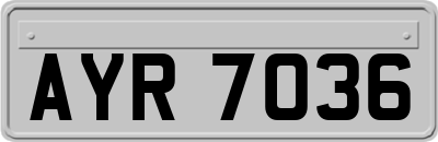 AYR7036