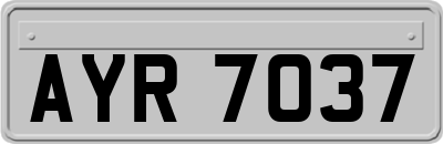 AYR7037
