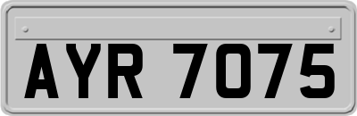 AYR7075