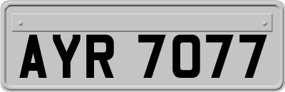 AYR7077