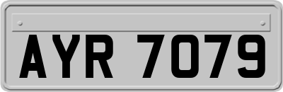 AYR7079