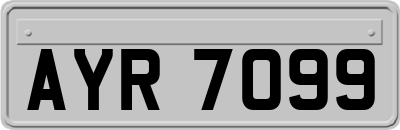 AYR7099