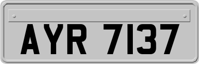 AYR7137