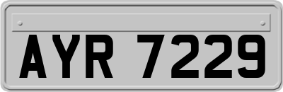 AYR7229