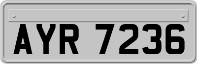 AYR7236