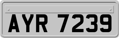 AYR7239