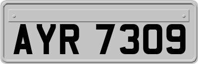 AYR7309