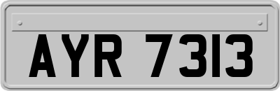 AYR7313