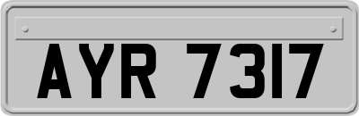 AYR7317
