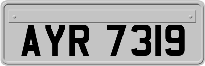 AYR7319