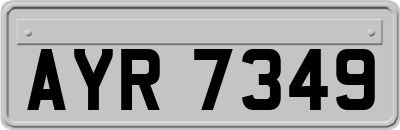AYR7349