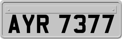 AYR7377
