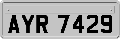 AYR7429