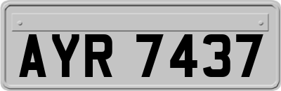 AYR7437