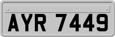 AYR7449
