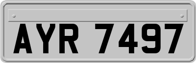 AYR7497