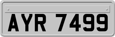 AYR7499