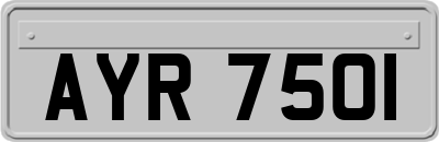 AYR7501