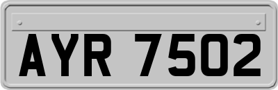 AYR7502