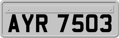 AYR7503
