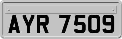 AYR7509