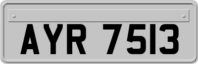 AYR7513