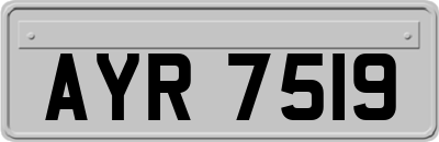 AYR7519
