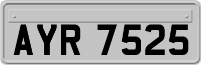 AYR7525
