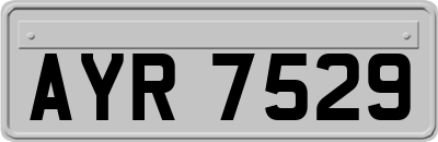 AYR7529