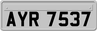 AYR7537