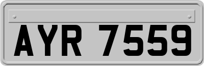 AYR7559