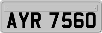 AYR7560