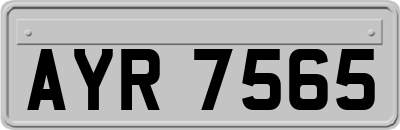 AYR7565