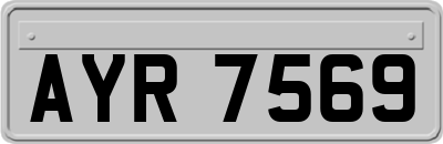 AYR7569