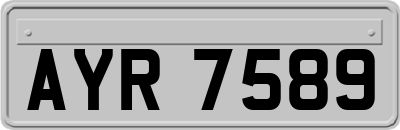 AYR7589