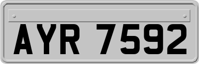 AYR7592