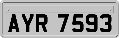 AYR7593