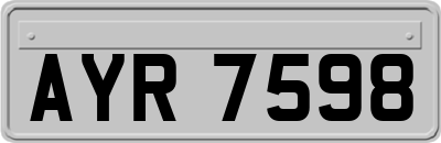 AYR7598