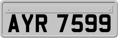 AYR7599