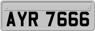 AYR7666