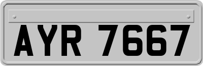 AYR7667