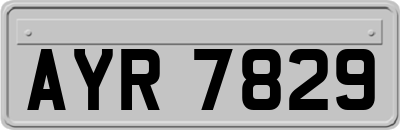 AYR7829