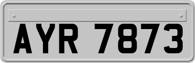 AYR7873