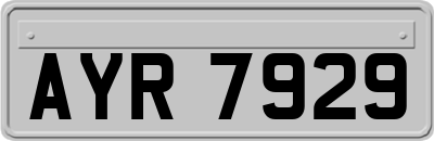 AYR7929