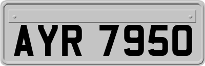 AYR7950