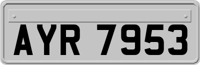 AYR7953