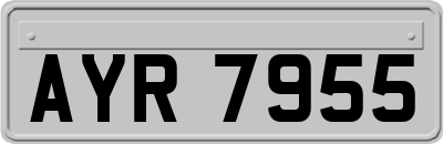 AYR7955