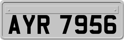 AYR7956